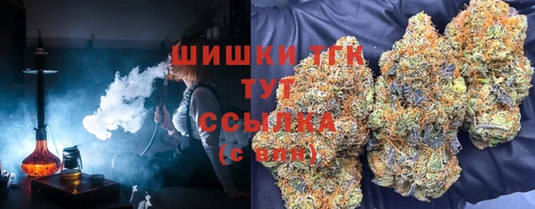 гидропоника Богородицк
