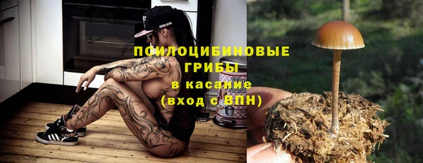 гидропоника Богданович