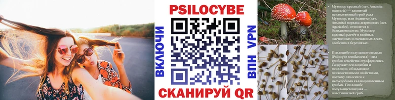 Псилоцибиновые грибы ЛСД  Волосово 